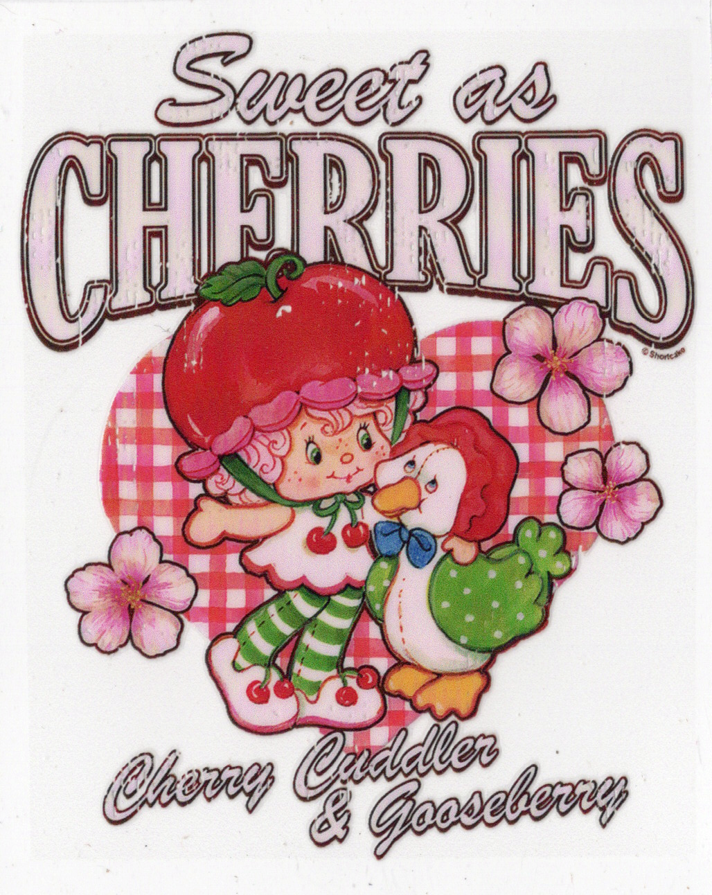 S Shortcake Decals