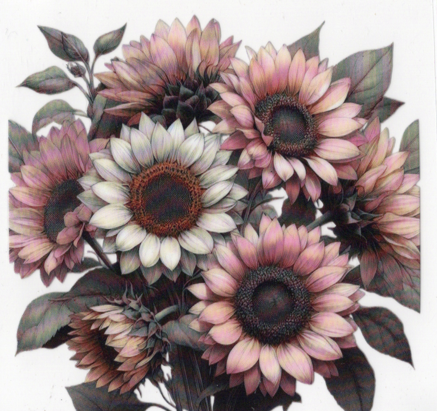 Butterflies & Flowers Decals