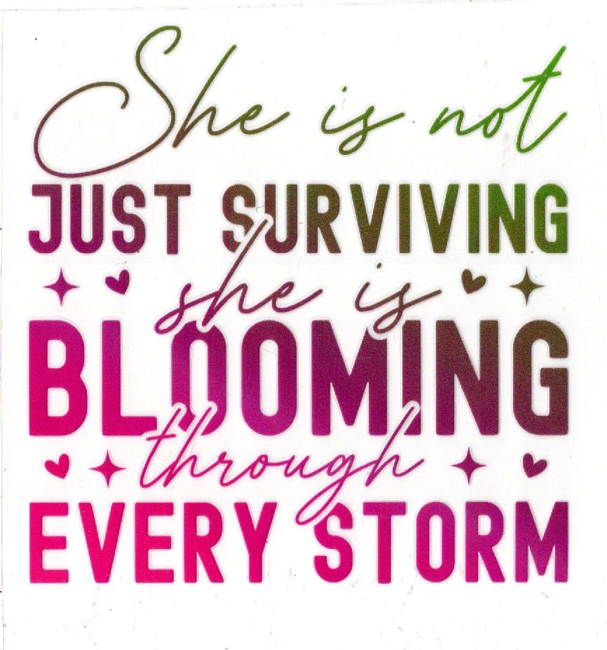 Sayings 4 inch decals