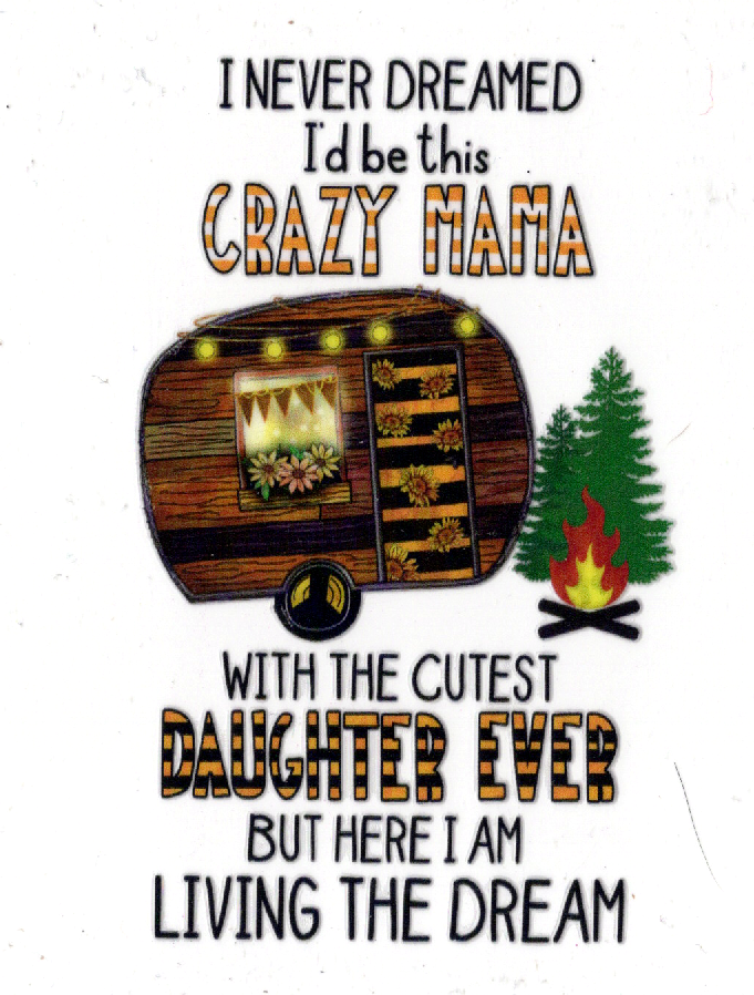 Sayings 4 inch decals