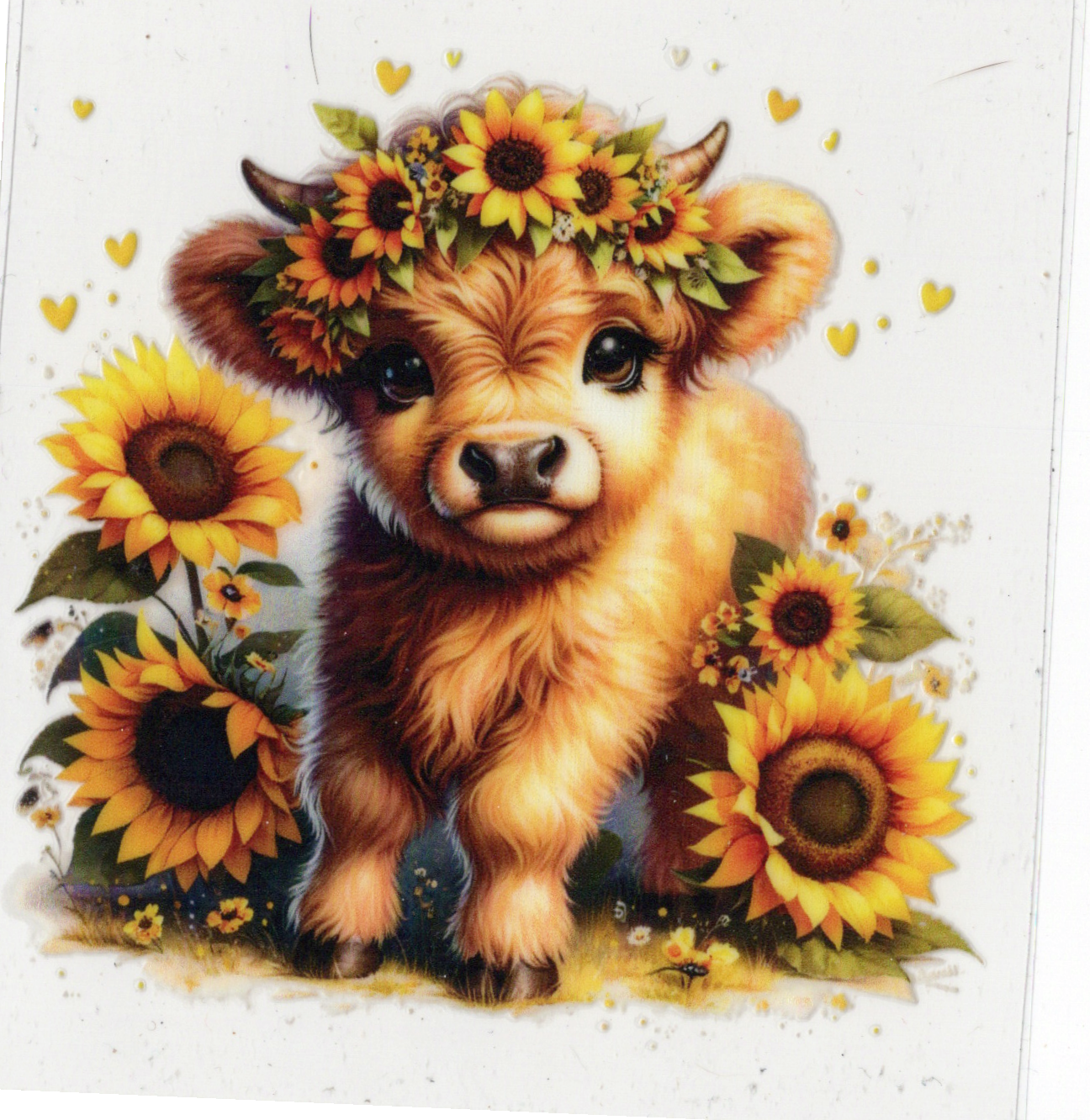 Cow Decals