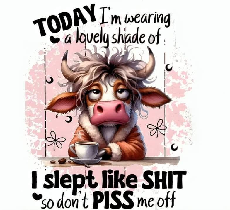 DTF/Transfers Cows